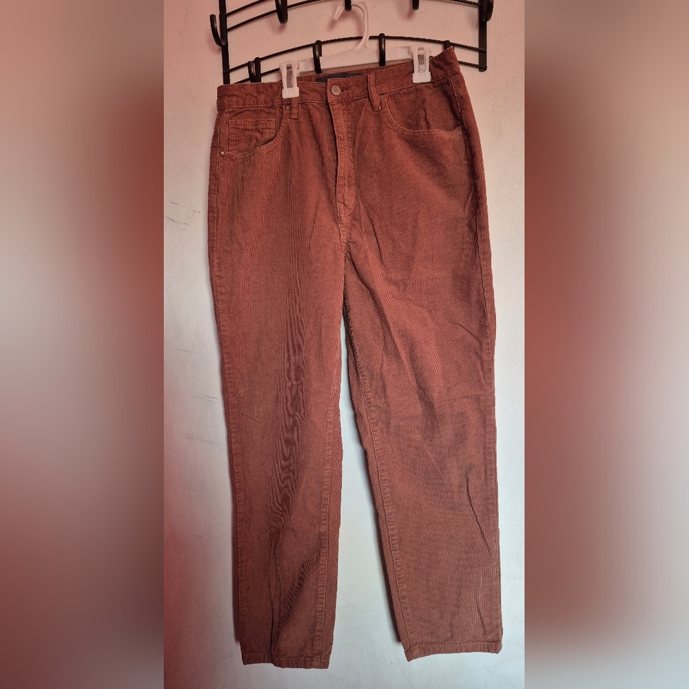 Indigo Rising Brown Corduroy Pants